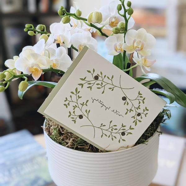 Sympathy Centerpiece Potted Orchid Arrangement